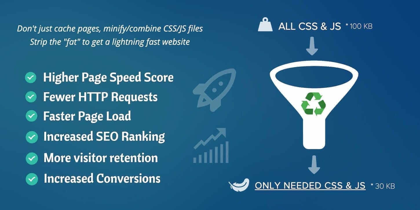 Asset CleanUp Pro: Page Speed Booster