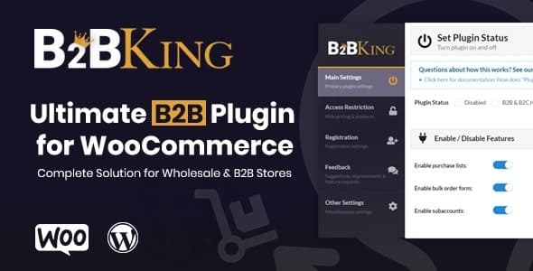 B2BKing Pro