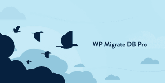 WP Migrate