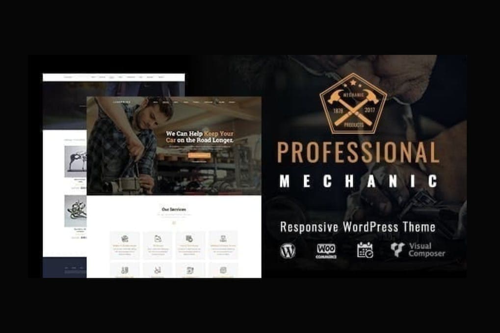 Mechanic Professional