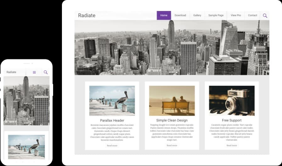 Radiate Pro