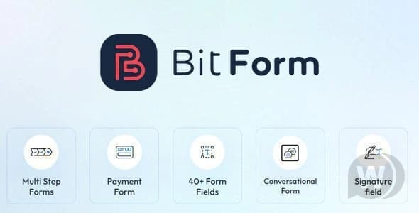 Bit Form Pro